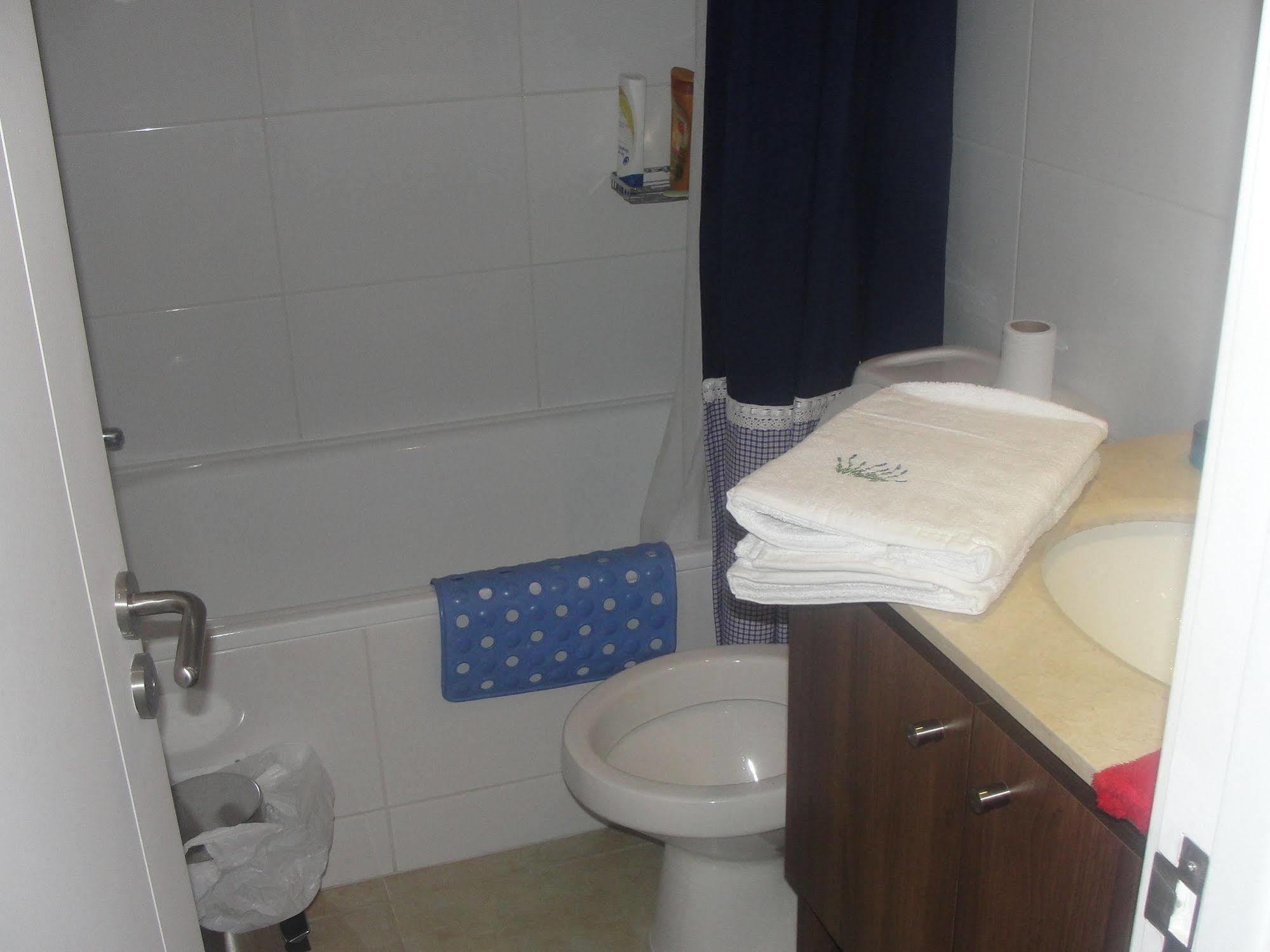 Apartment Las Heras サンティアゴ エクステリア 写真